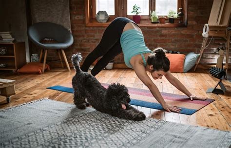 Puppy Yoga: A New Way Of Remaining Fit - Blonde Lizard