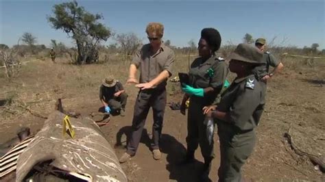 IN PHOTOS: Prince Harry sees horror of South Africa’s wildlife poaching ...