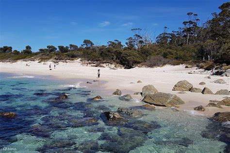 Wineglass Bay and Freycinet Peninsula Private Tour - Klook