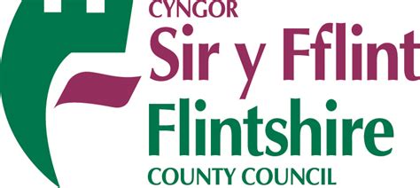 Flintshire council logo - Constructing Excellence