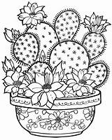 Printable Cactus Coloring Pages sketch template