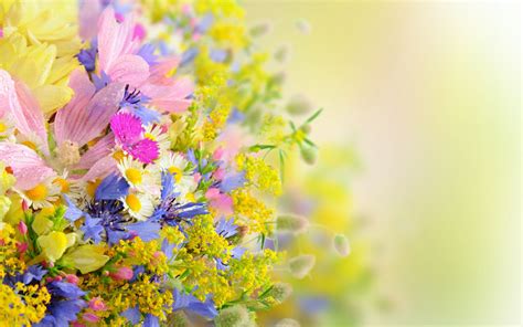 Pastel Floral Wallpaper HD Resolution #kZy Beautiful Flowers Hd Wallpapers, Flower Images ...