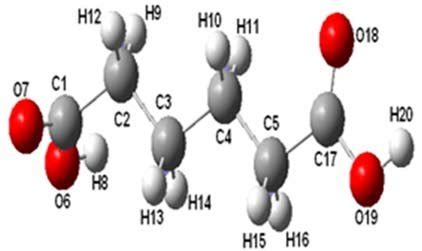 The theoretical geometric structure of adipic acid. | Download Scientific Diagram