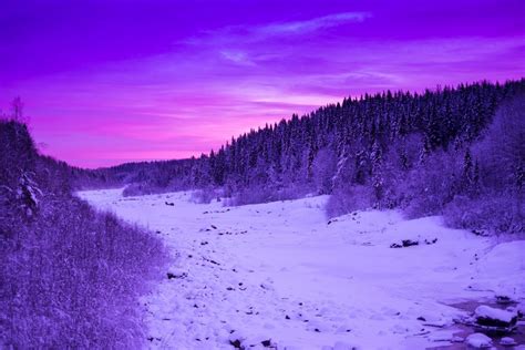 Free Images : forest, snow, winter, sky, sunrise, sunset, morning, hill, purple, frost, dawn ...