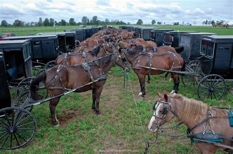 Pin em Amish Buggy