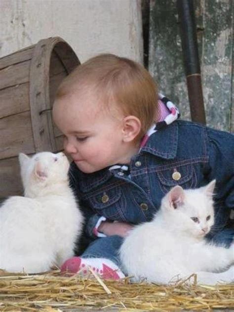 Baby playing with Little Kittens - Annie Many