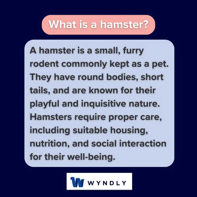 Hamster Definition: What Is A Hamster? (2024) & Wyndly