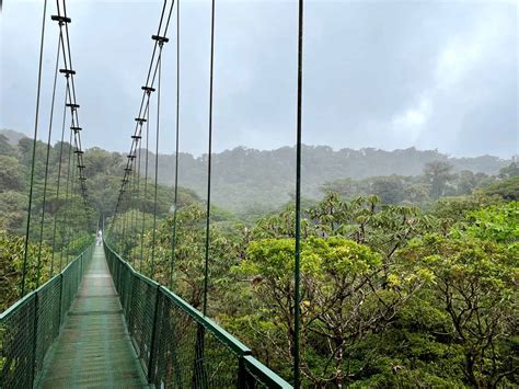 10 Things to know before visiting the Hanging Bridges in Monteverde