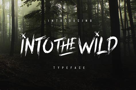 Into The Wild Typeface | Fonts ~ Creative Market