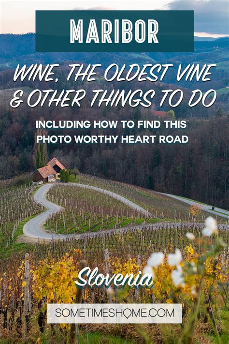 Maribor Wine, The Oldest Vine, and More Things to Do in a Slovenian City