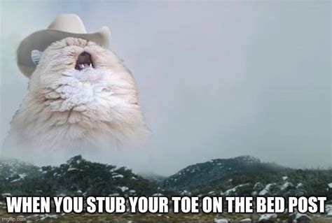 Screaming Cowboy Cat Memes - Imgflip