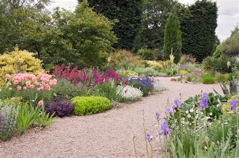 Dry Gardens in England (3 of 21) | Beth Chatto Gardens, Essex, UK | Giardino, Ghiaia da giardino ...