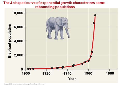 The exponential model describes population growth in an idealized, unlimited environment