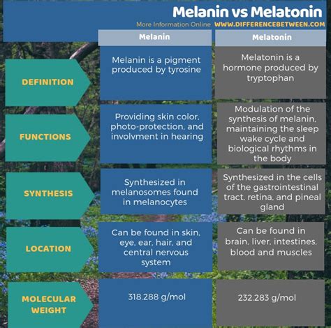 Difference Between Melanin and Melatonin | Compare the Difference ...