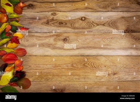 Happy Thanksgiving greeting with border of colorful autumn leaves on the left side of rustic ...