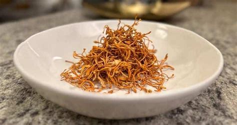 Eating Cordyceps: How to Prep & Cook “The Caterpillar Mushroom”