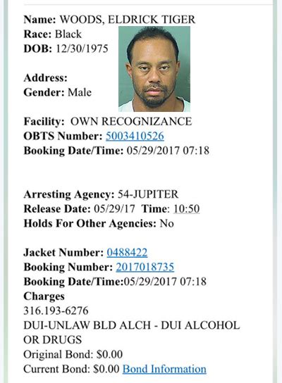 Tiger Woods Arrested and Released In Florida for Suspicion of DUI ...