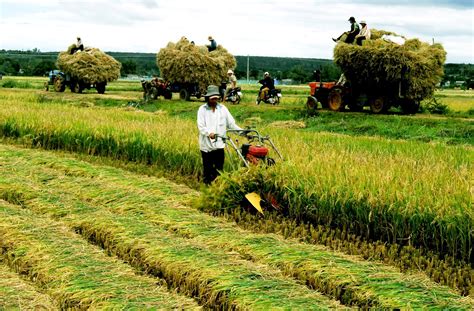 Vì sao Nhật Bản, Hàn Quốc không "mặn mà" với lao động Việt Nam - Japan ...