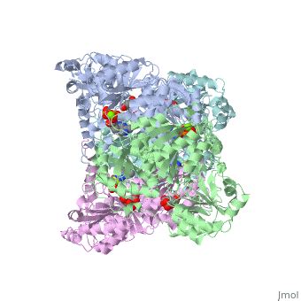 Pyruvate decarboxylase - Proteopedia, life in 3D