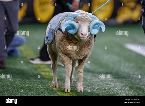 Dec 27, 2023; Charlotte, NC, USA; North Carolina Tar Heels mascot Rameses was on the sidelines ...