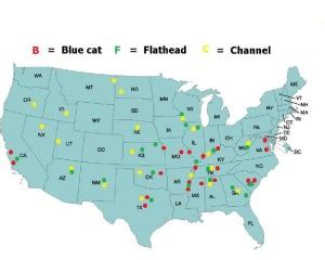 Catfish species and habitats – Catfish & Crappie Conference 2024 ...