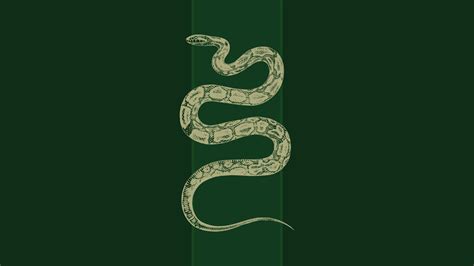 Slytherin Aesthetic Wallpapers - Top Free Slytherin Aesthetic Backgrounds - WallpaperAccess