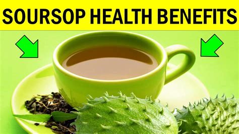 Benefits Of Soursop Leaf Tea - Infoupdate.org