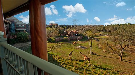 Room with a View: ‘Safari View’ Suite at Disney’s Animal Kingdom Lodge | Disney Parks Blog