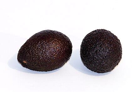 Hass avocado - Wikipedia