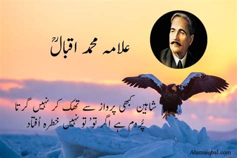 Allama Iqbal Poetry On Shaheen Iqbal poetry shaheen urdu beautiful allama funny quotes nice ...