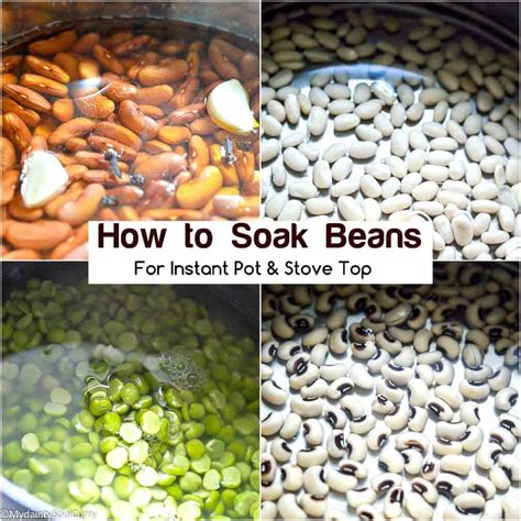 How To Cook Beans in The Instant Pot?(Instant Pot Beans) - My Dainty Soul Curry