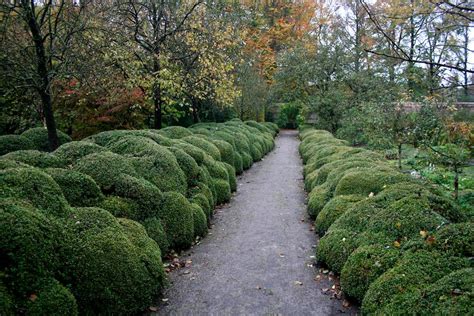 Out of the box: The Private Garden of Jacques Wirtz | Oxonian Gardener