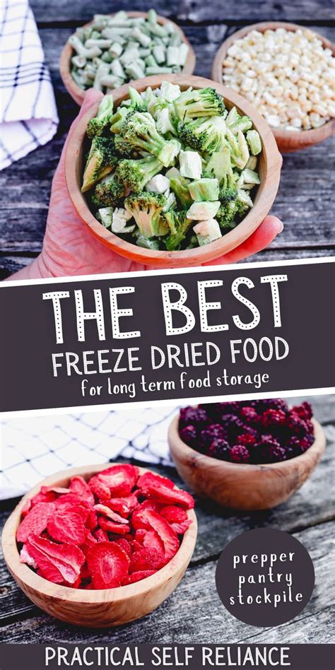 Best and worst freeze dried food for long term storage – Artofit