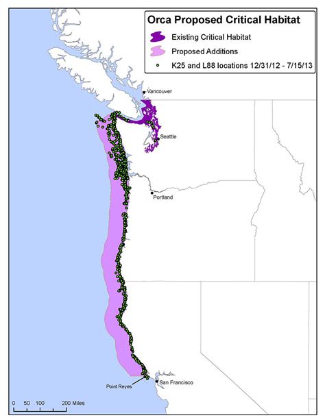 Trump Administration Sued for Failing to Protect Orcas' West Coast Habitat