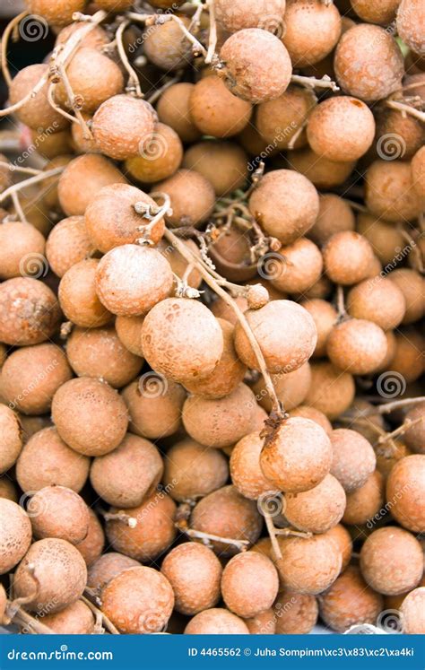 Longan fruit stock photo. Image of length, leechee, import - 4465562