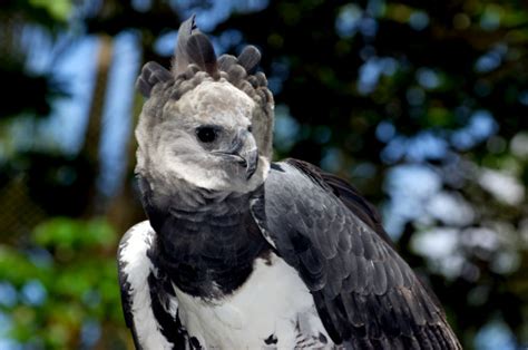 Wildlife of Tamarindo, Costa Rica: Up-close & personal encounters