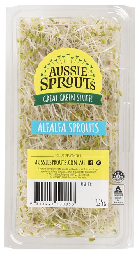 Alfalfa Sprouts — Aussie Sprouts