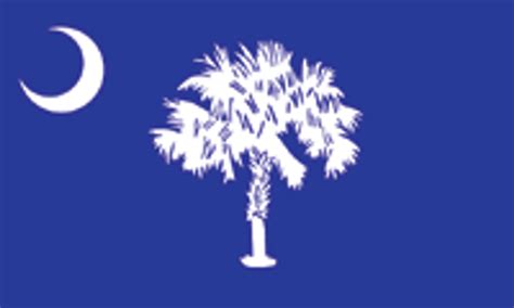 South Carolina State Flag 3x5 - Uncommon USA