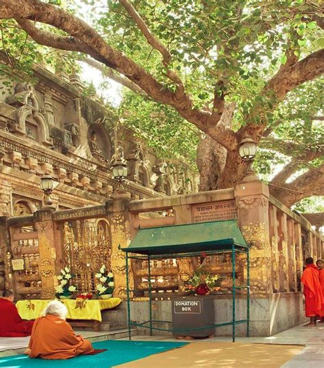 Visit Bodhgaya | Bodh gaya, Sri maha bodhi, India tour