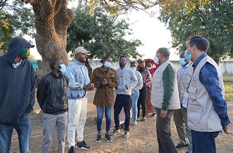 Commonwealth Observers in position as Zambians head to the polls ...