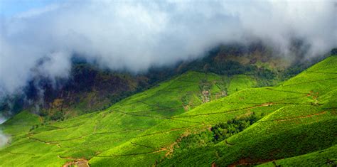 Idukki hill station | Welcomenri