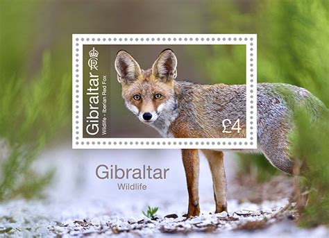 Gibraltar Wildlife Miniature Sheet | Stamps | 2023 | Gibraltar ...