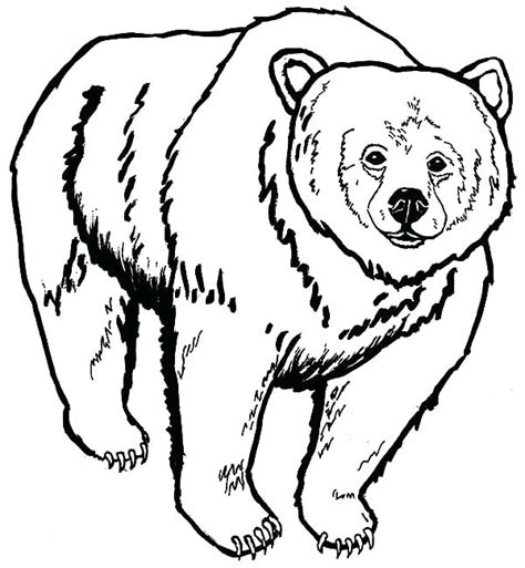 Grizzly Bear Coloring Pages at GetColorings.com | Free printable colorings pages to print and color