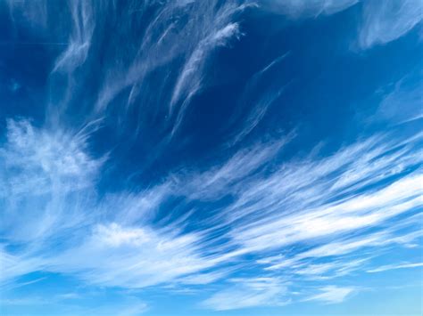 Cirrus Clouds Free Stock Photo - Public Domain Pictures