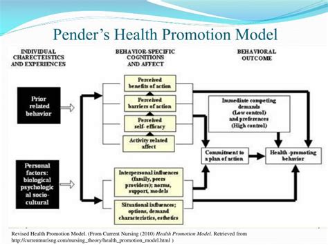 Promotion: The Health Promotion Model