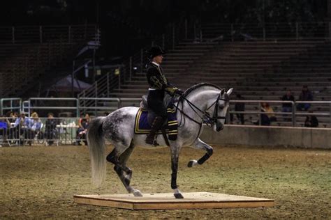 Traditional Royal Spanish Riding School tack, and dress. PRE | Dressage horses, Eventing horses ...