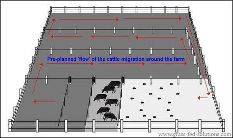 22 Pasture rotation ideas | pasture, farm layout, cattle farming