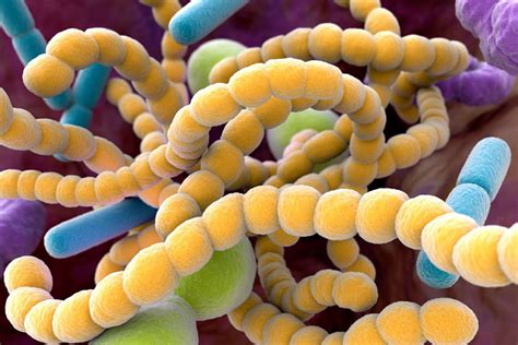 Download 20 + Imagens De Bacterias