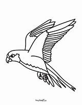 Flying Crow Coloring Pages sketch template