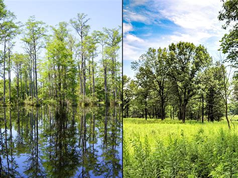 Land Conservation | Gaylord & Dorothy Donnelley Foundation